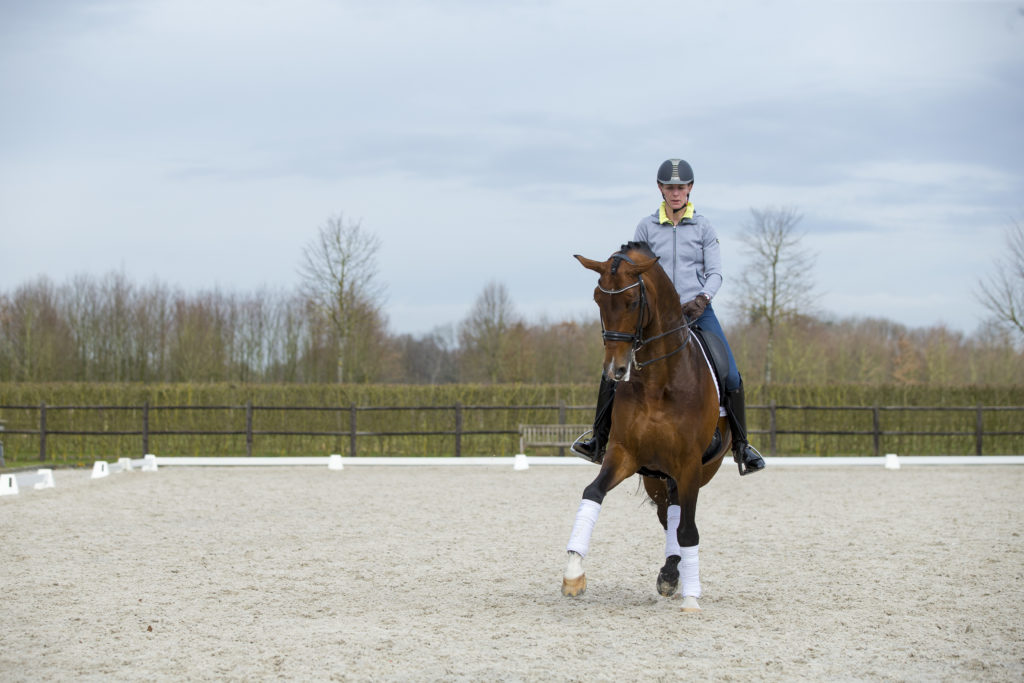 Floratio (Florestan x Landadel) - Imke Schellekens Bartels - Tatiana Makarova - Lichte Tour - Grand Prix - Dressuurpaard - Dressuurtraining - Smarius - Academy Bartels