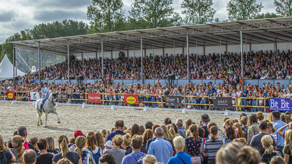 Britt Dekker - George - Horse Event - Dressuur Clinic - Academy Bartels Event -