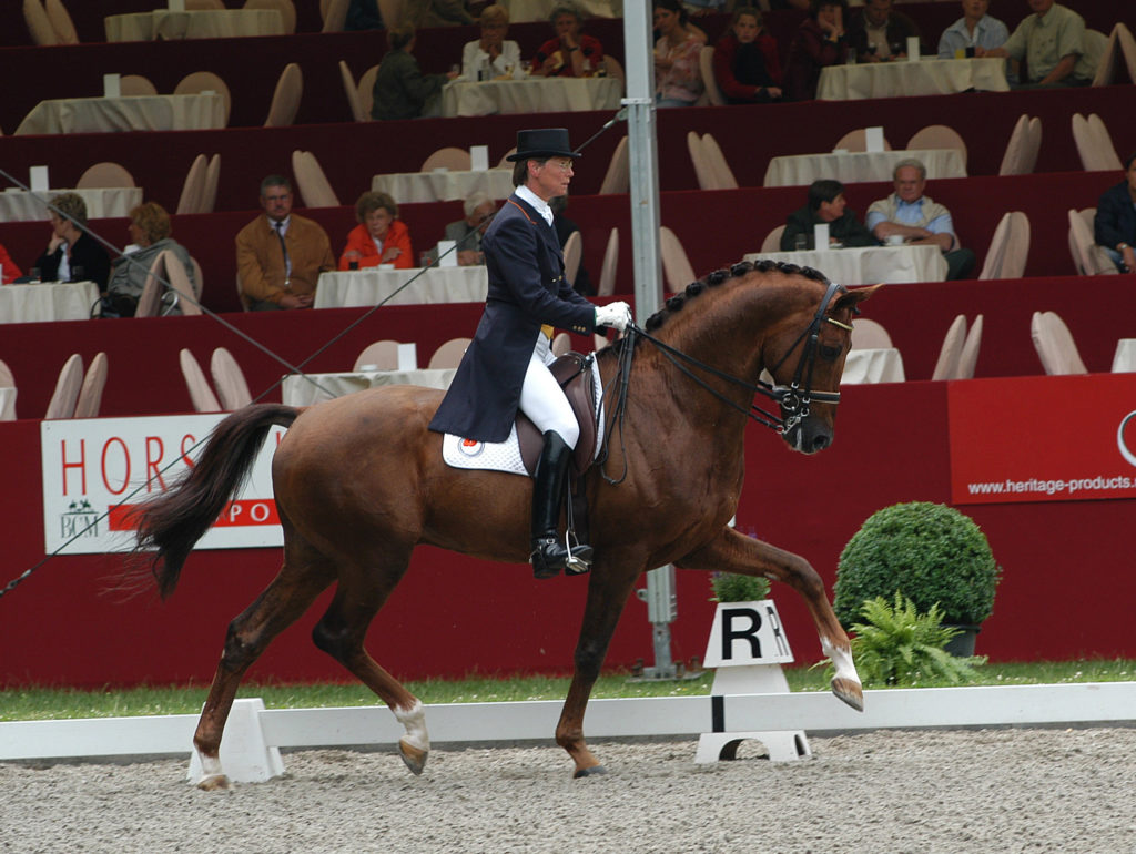 Broere Jazz, Tineke Bartels, KWPN hengst, dressuurpaard, dressuurpaard trainen, koning van de dressuur