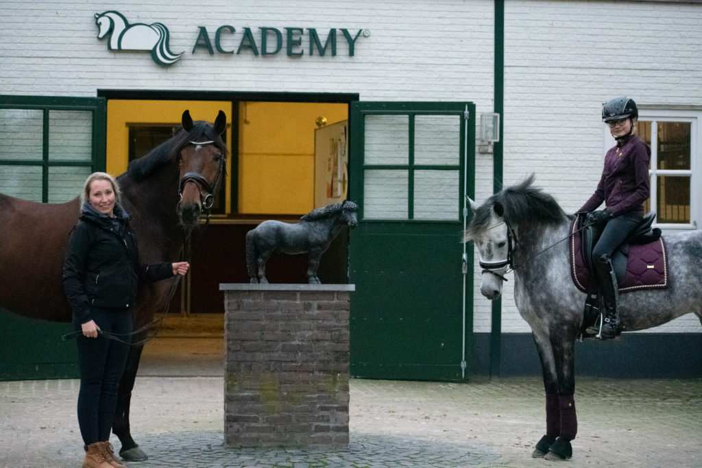 Trainingsarrangement - Academy Bartels - training met paard - trainingsweek met paard