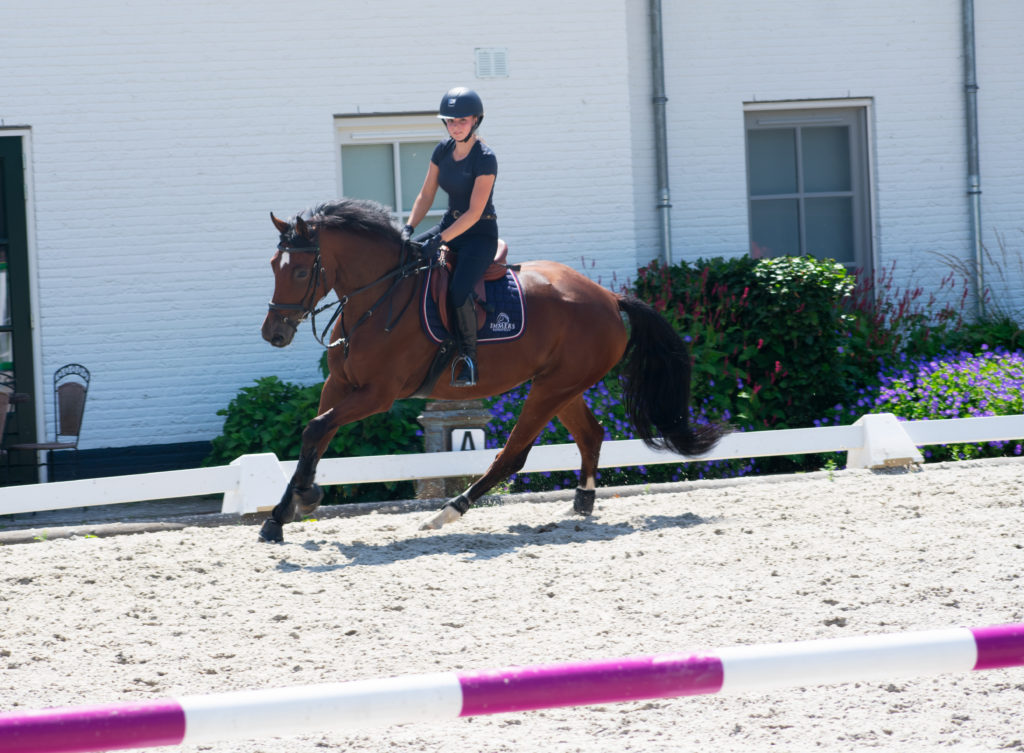 Trainingsarrangement springen - Bianca Schoenmakers - Academy Bartels