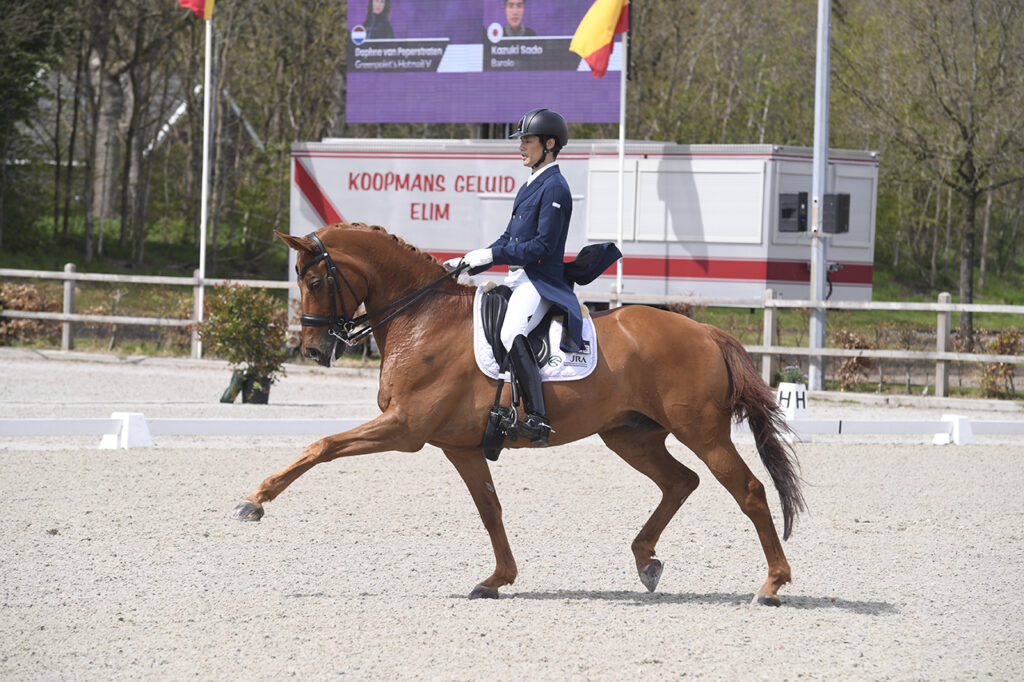 Academy Bartels Kazuki dressage horse