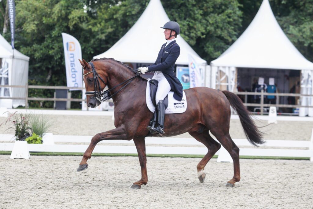 Honorée paard Tolbert Imke Schellekens