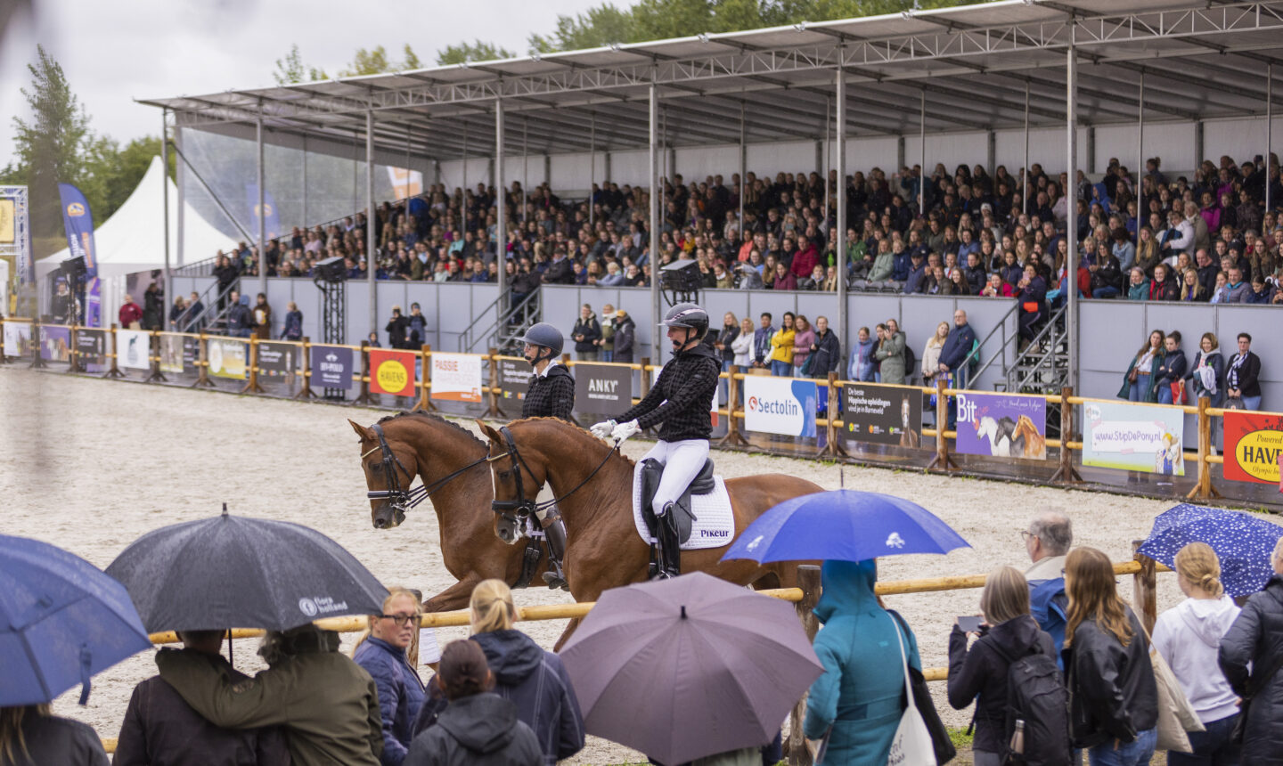 Homepage Academy Bartels