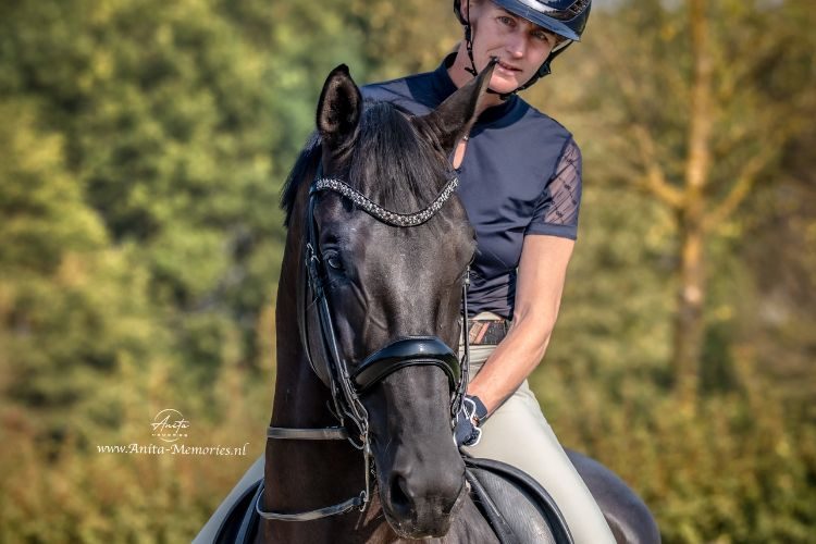 Ontwerp zonder titel