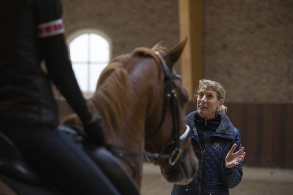 trainingsarrangement trainingsweek met paard